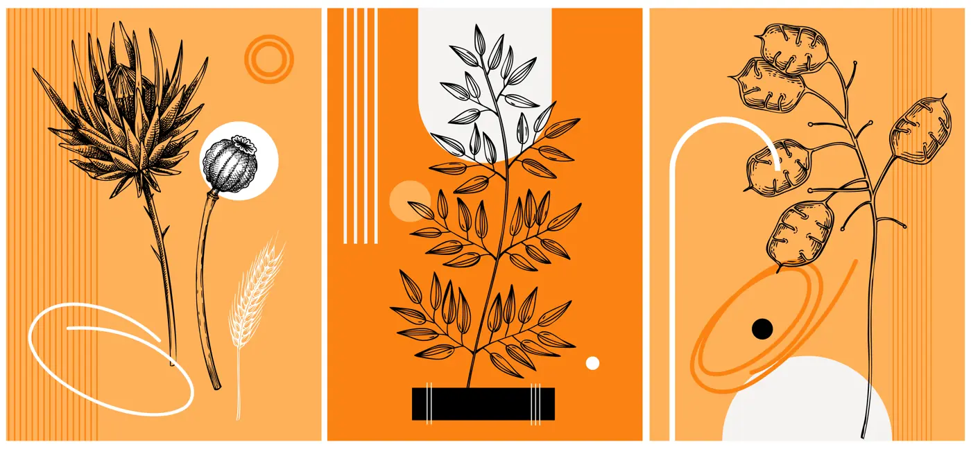 Collage style autumn vector illustration. Sketched leaves and dried flowers. Trendy fall design with botanical, geometric shapes, and abstract elements. For print, poster, card, social media Illustration